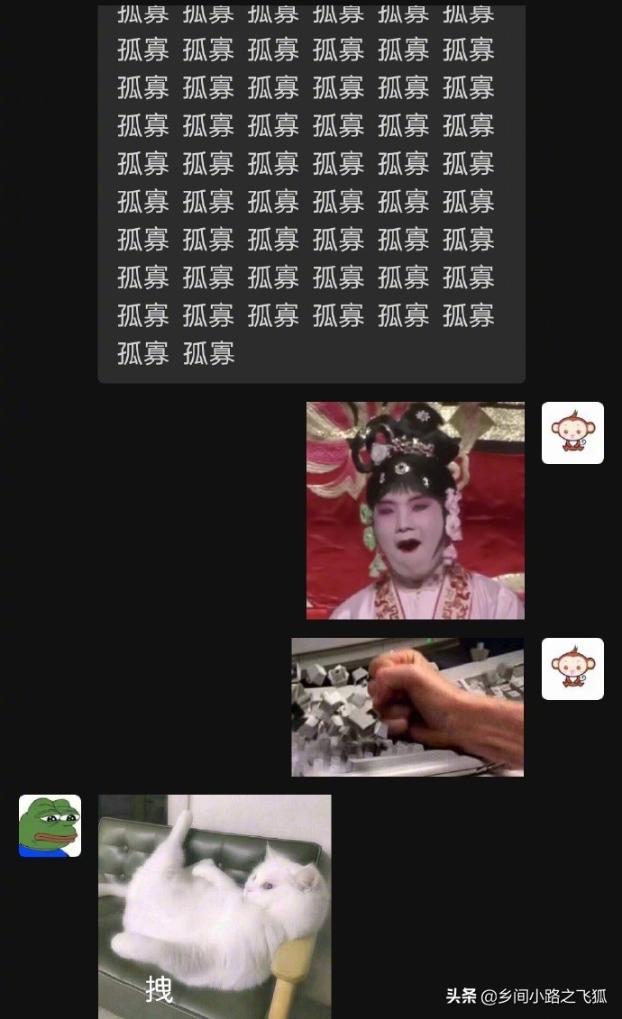 青蛙|杨紫被送七夕青蛙 这是不是有点太欺负人了