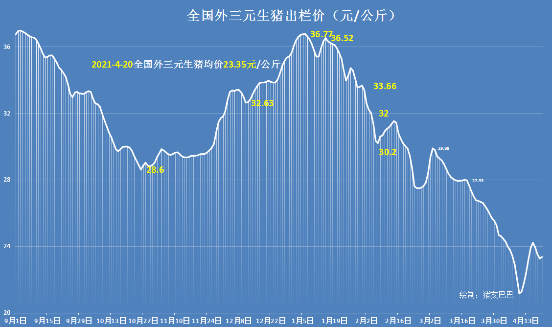 猪价、粮价预警：4月20日，猪价开涨、玉米横盘，涨价潮来袭？