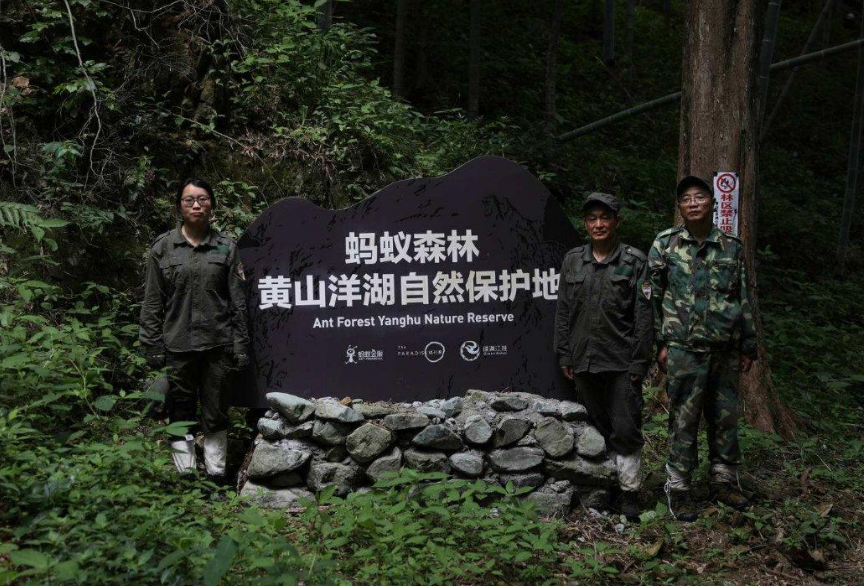 马云打造的“另类独角兽”，5亿人花了5年时间，今价值不可估量
