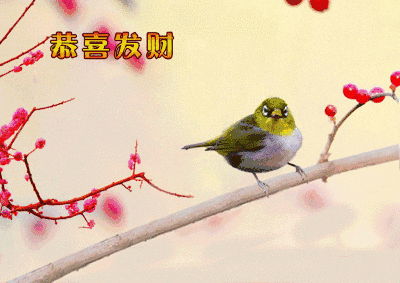 早安|大年十三早安图片日签正月十三阳光图片带字 2月6问候祝福美图