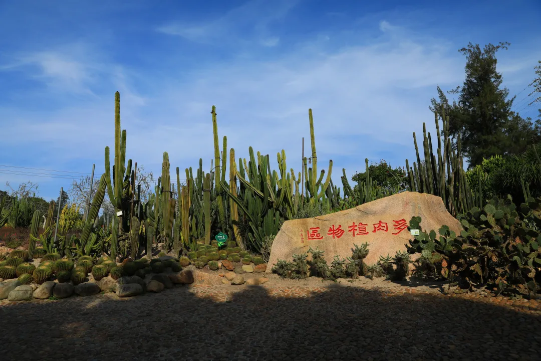 植物园雨林雾森时间调整,还将有这些变化