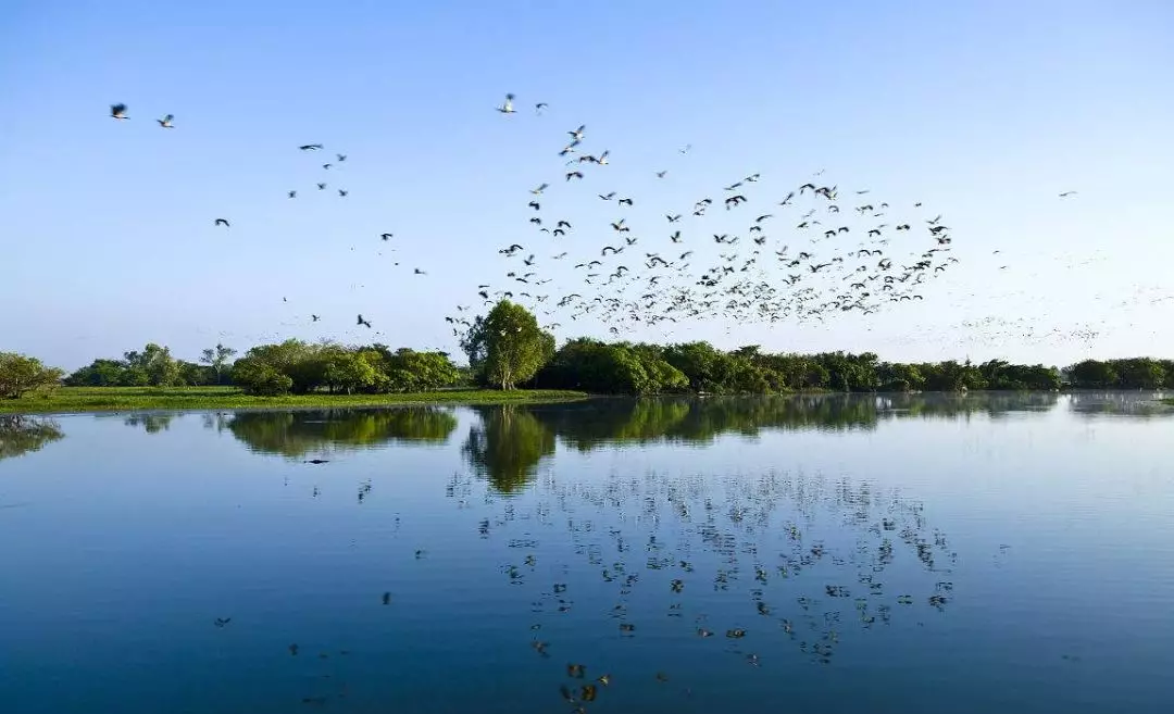 许昌这个湿地公园惊艳了时光，温柔了岁月！