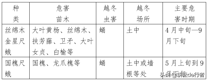 园林常见病虫害汇总-第5张图片-农百科