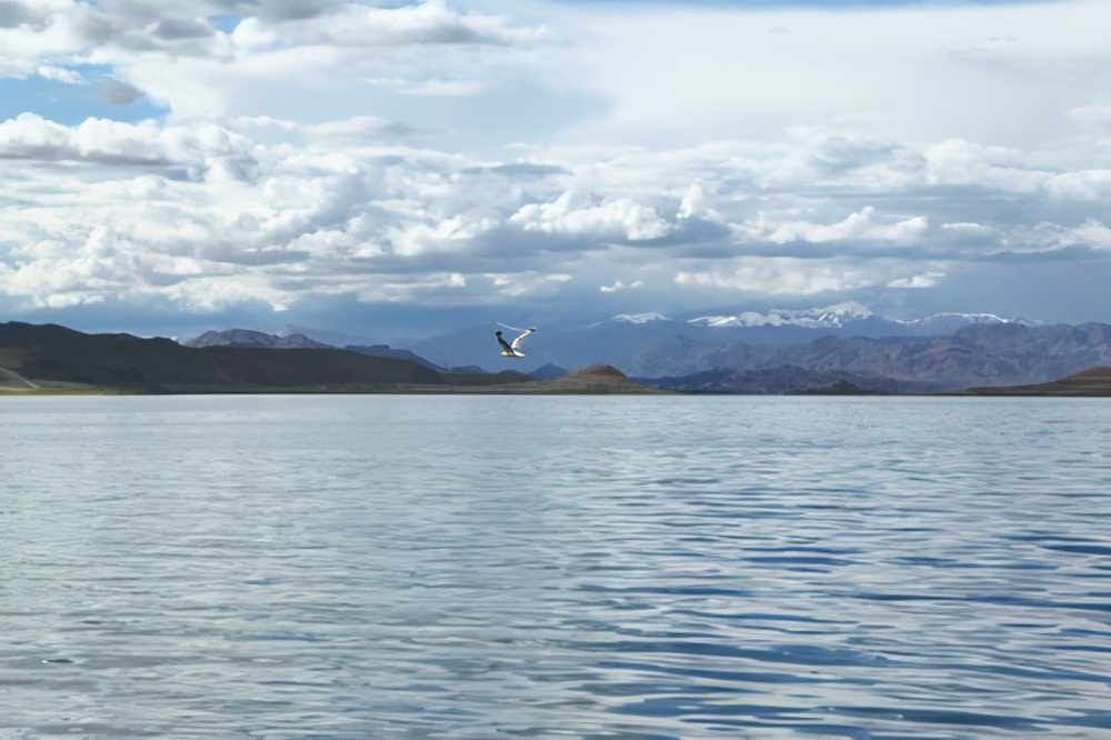 来意不善！印度国内局势逐渐失控，莫迪增兵班