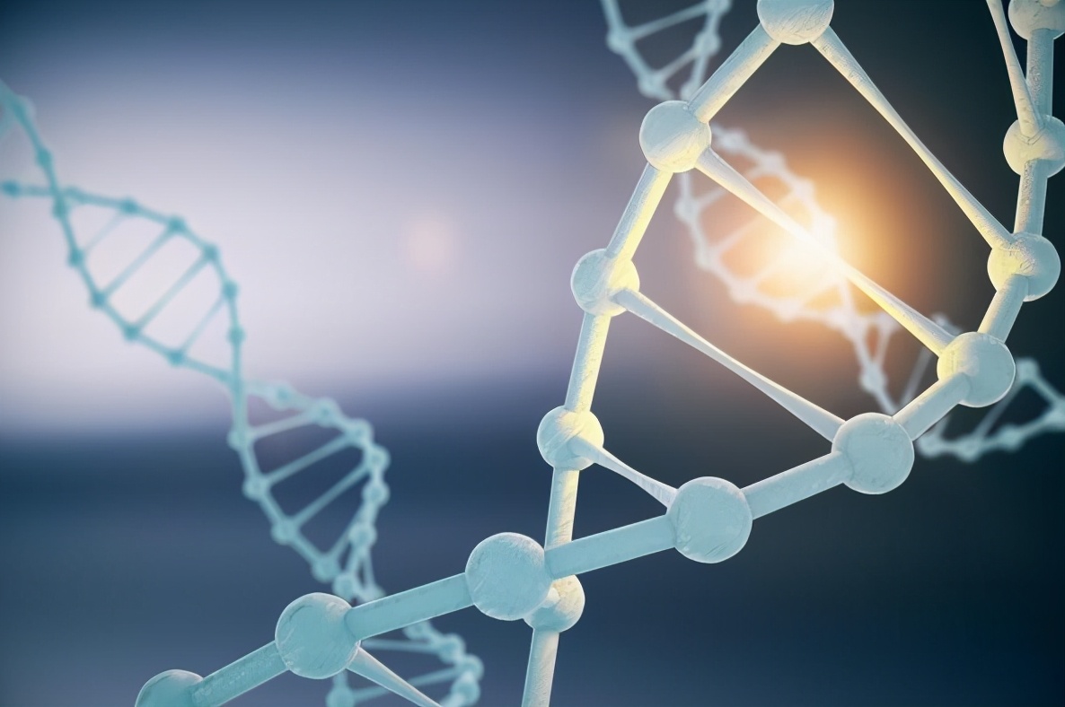 碳基生命進化的終點是什麽？人類離這個終點還有多遠？