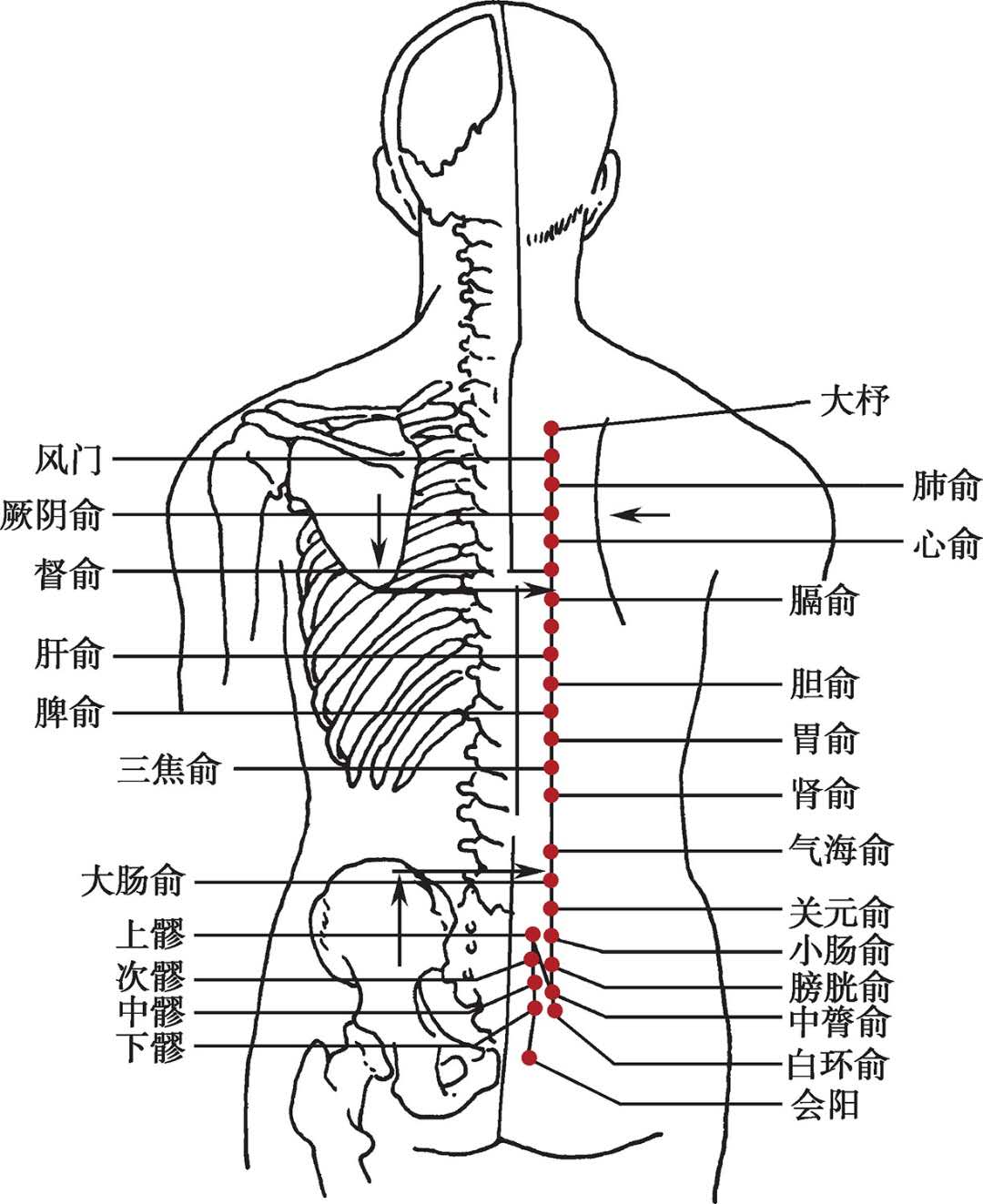 国医大师吕景山对穴：清热明目类 肝俞—少泽