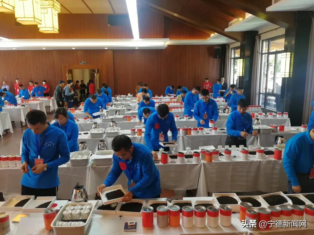 宁德：全国总决赛五强占二，揭密中国传统红茶主产区