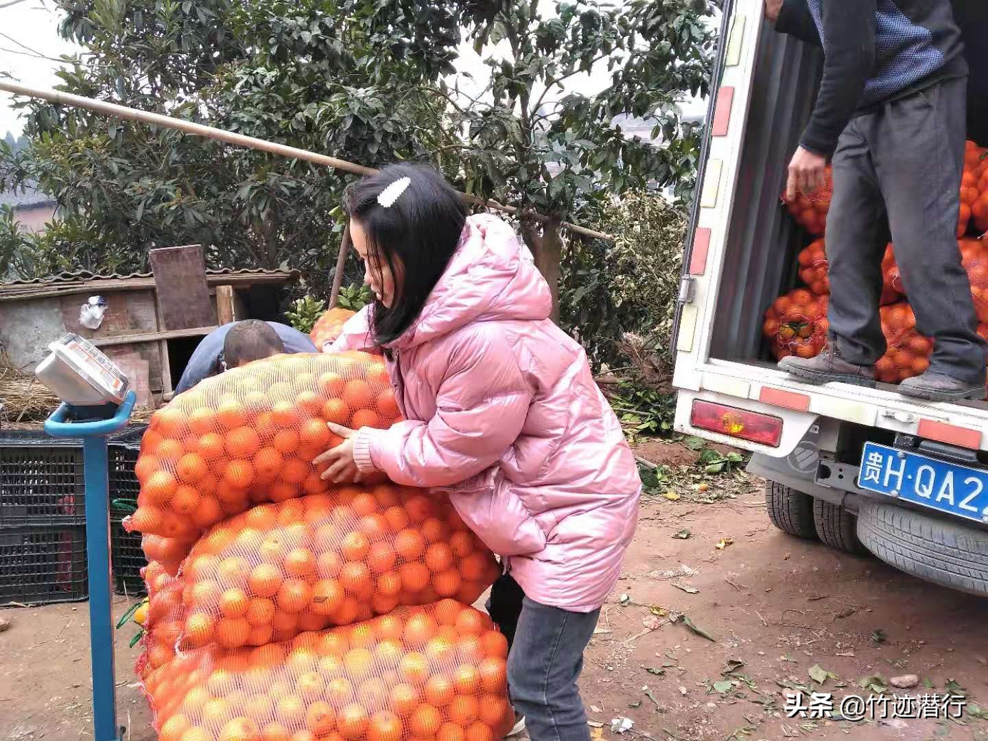 登錄查看大圖