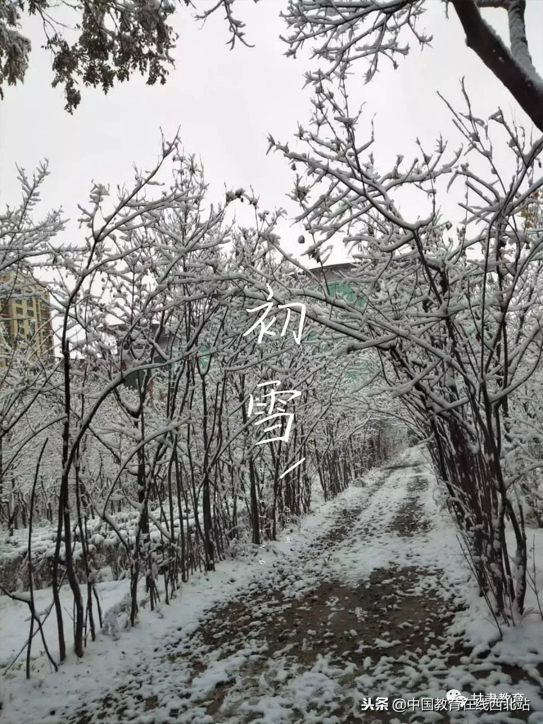 甘肃初雪|甘肃18所高校初学雪景大PK,快来看看有你的母校没?