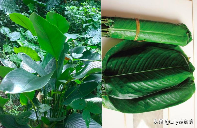 端午节包粽子，农村这7种“叶子”都能包，自带独特清香，收藏好