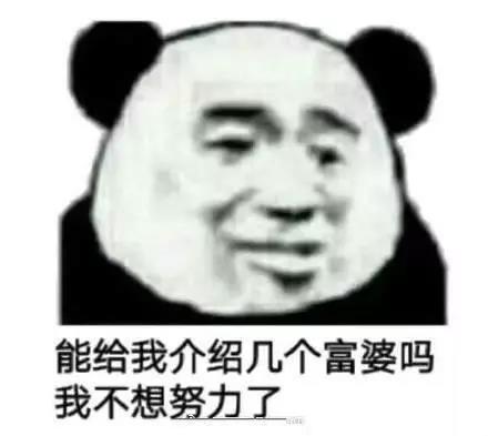 表情包：给我介绍几个富婆吧我不想努力了，富萝莉也行