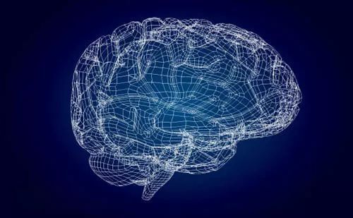 你有真正了解过你的大脑吗？