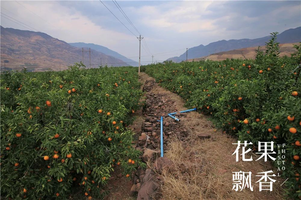 一位浙江老板的农业投资理念：如果挣不到钱，都是白搭