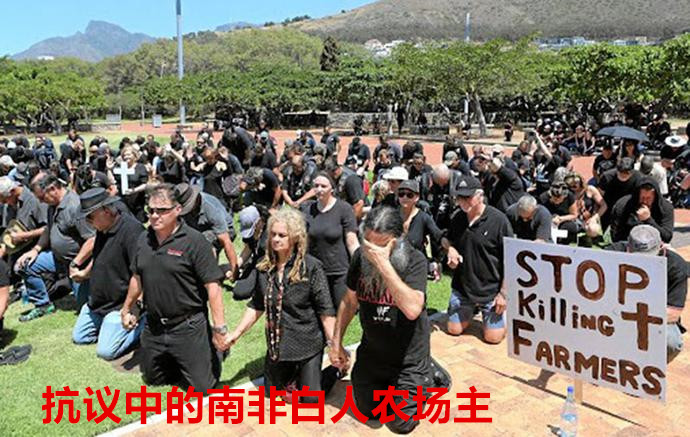 金砖变板砖！南非，你可真行