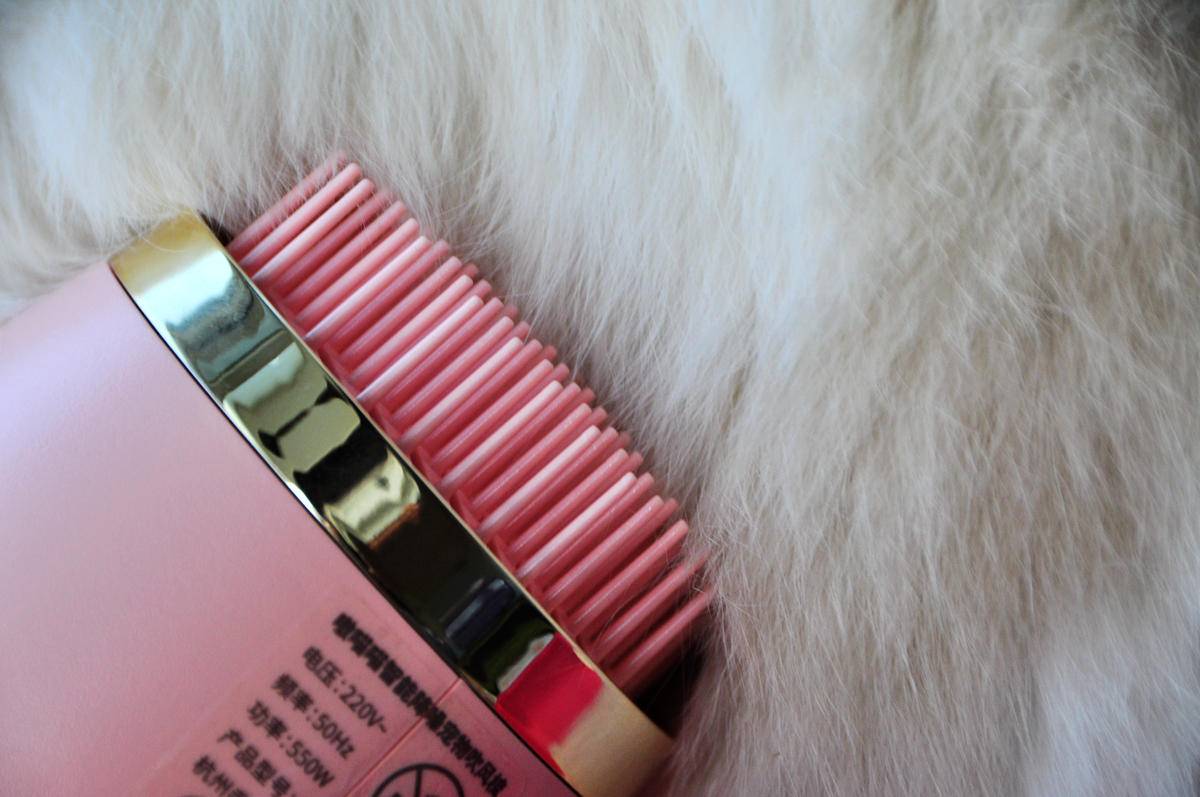 呵护宠物从吹梳开始，嗷喵喵智能宠物吹风梳体验