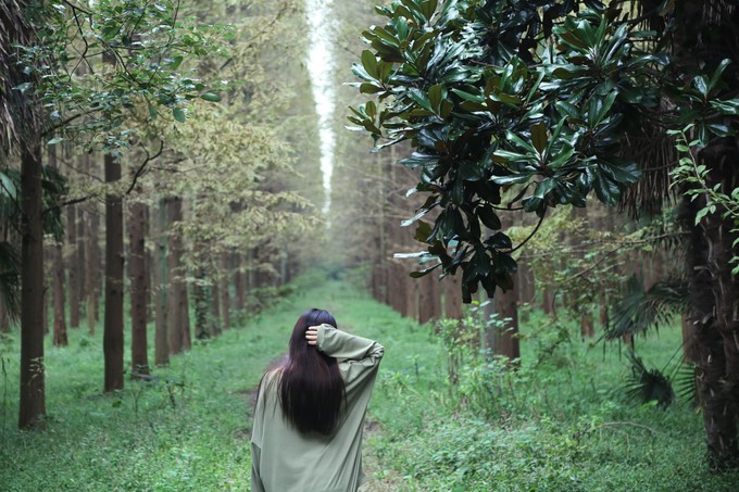 崇明岛旅游攻略，盘点不可错过的三大体验