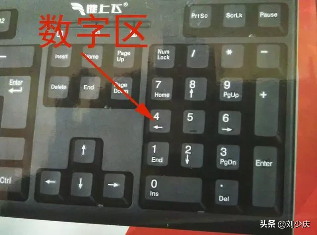 每天学一点 7天学会使用电脑办公操作