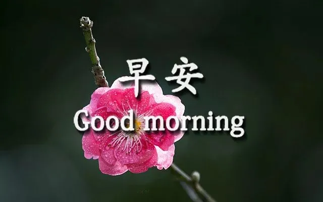 正能早上好祝福动态表情图片 最新版早晨好问候文案朋友圈图片