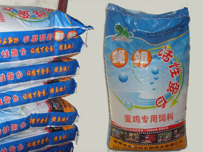 克迈拉新课题：开发黑水虻与鸡、鸭共养饲料