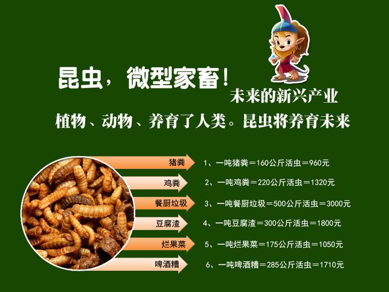 王泽铺利用黑水虻养殖搭建的三维循环农业的核心是什么？