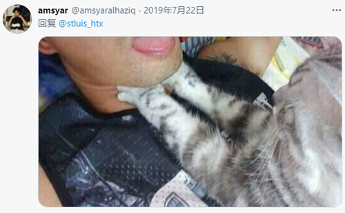 女孩睡著後被貓打了4個小時，但小貓咪可能沒什麽壞心思