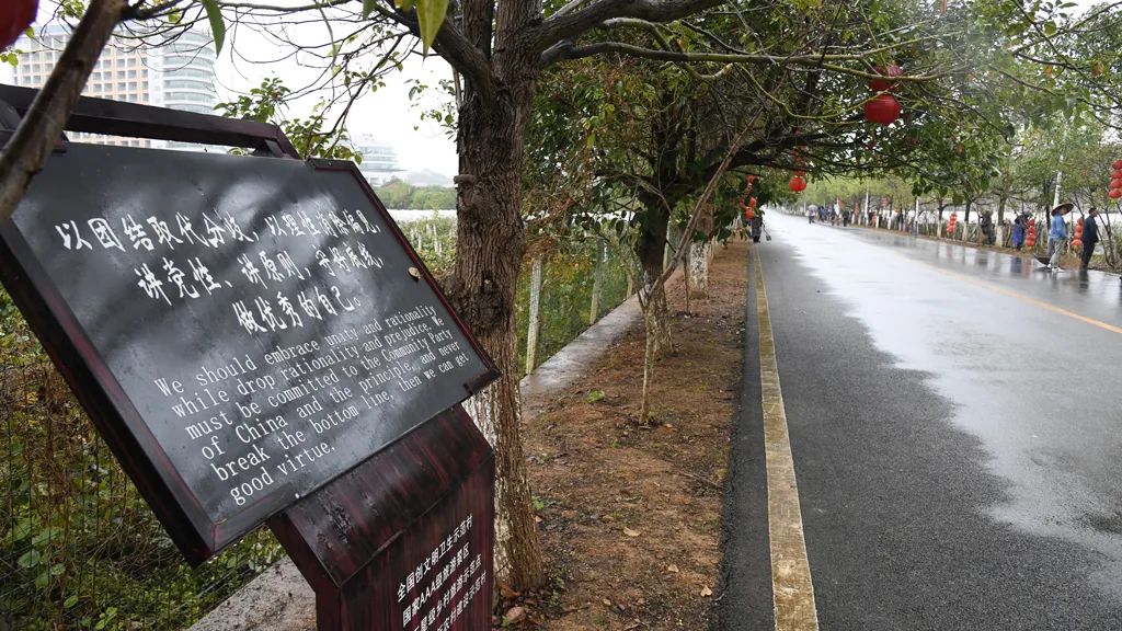 ​鹤城区双村村组织党员开展义务劳动建设文明家园