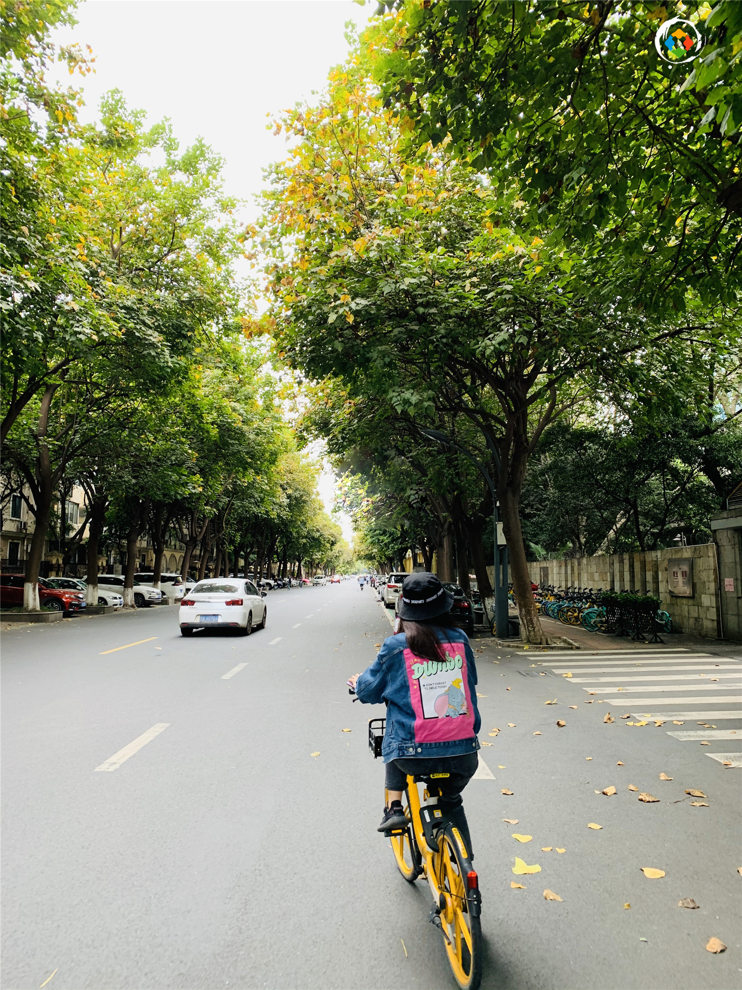 2020重庆大城小事：不受欢迎的来福士，未停播的《雾都夜话》