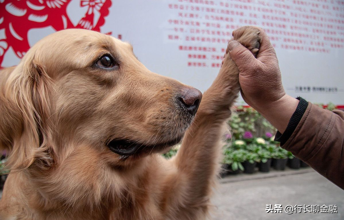 在“共同富裕”的浙江，月入过万的赚钱路子有哪些？