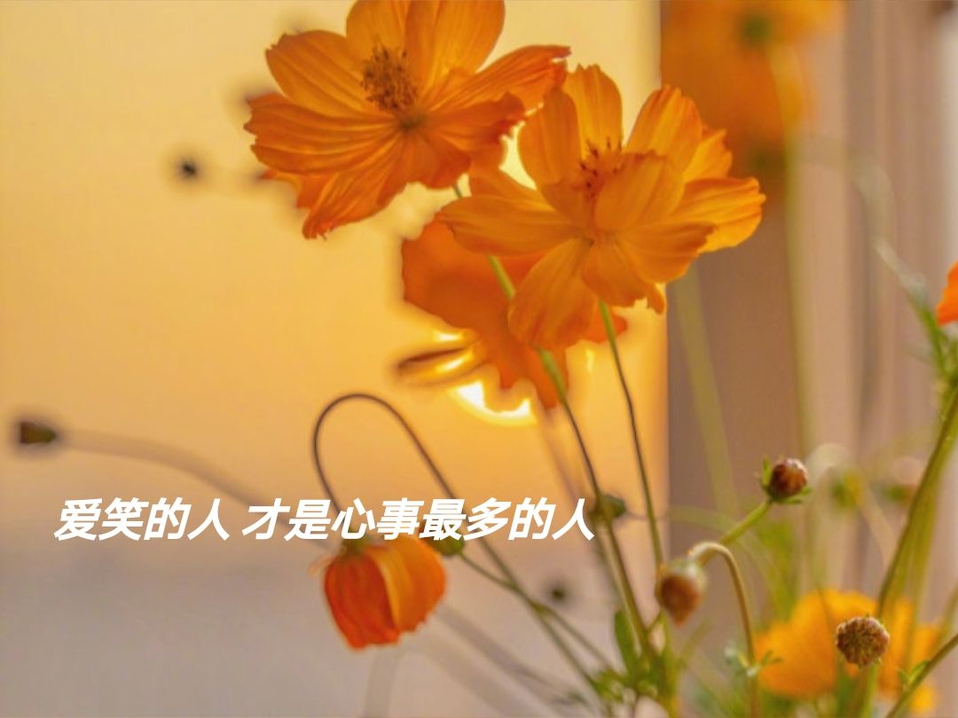 带点小伤感的情绪文案