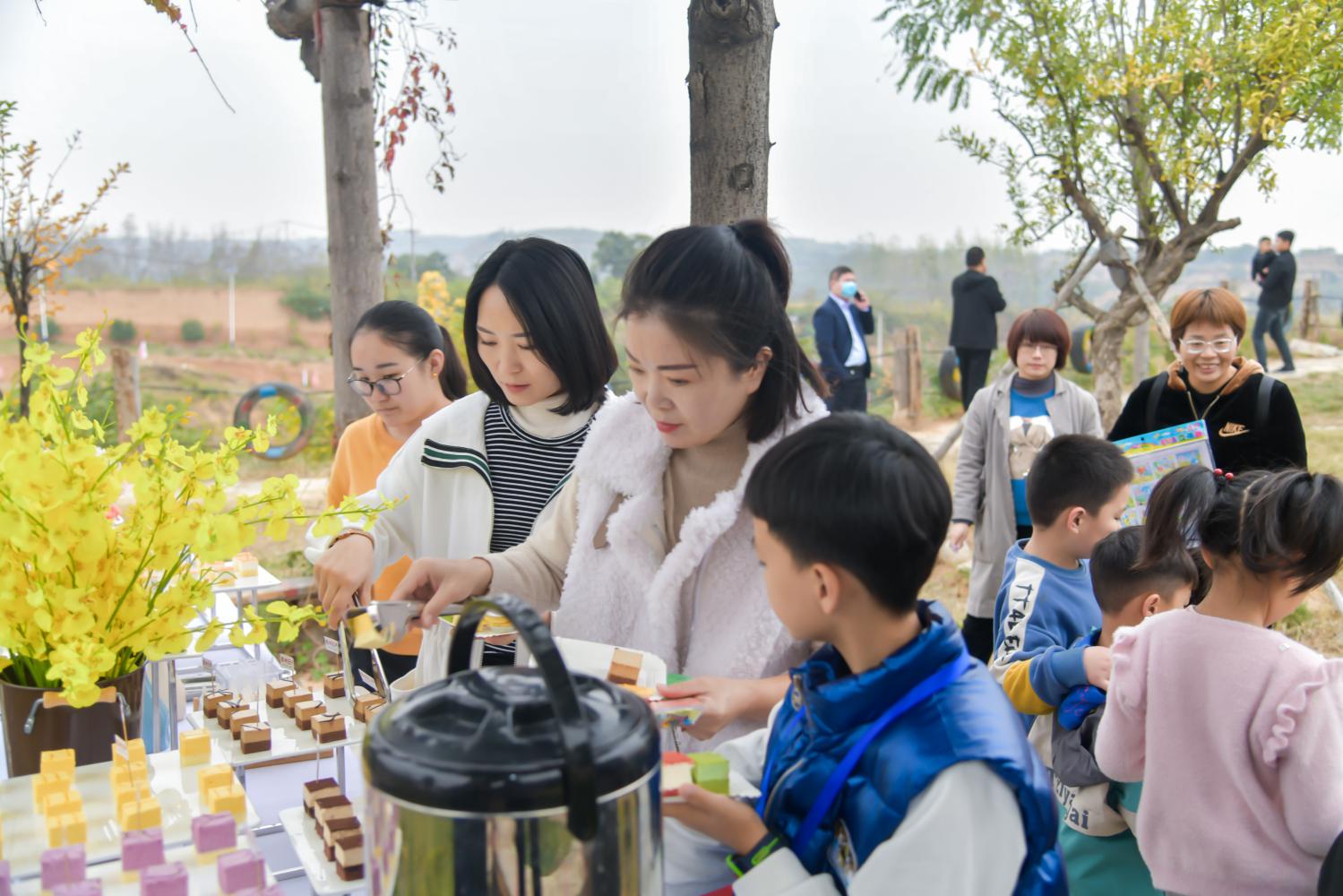 大河报汽车网