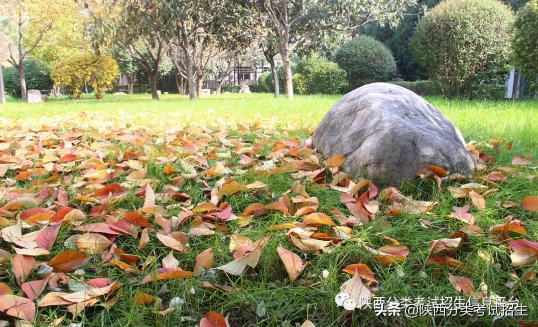 机电领域黄埔 | 陕西机电职业技术学院