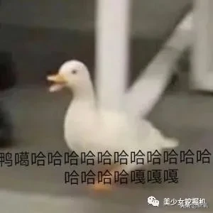 顶流女网红为送男友出道开娱乐公司,这就是富婆的快乐?