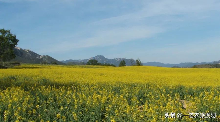 現(xiàn)代農(nóng)業(yè)園的發(fā)展模式有哪些？