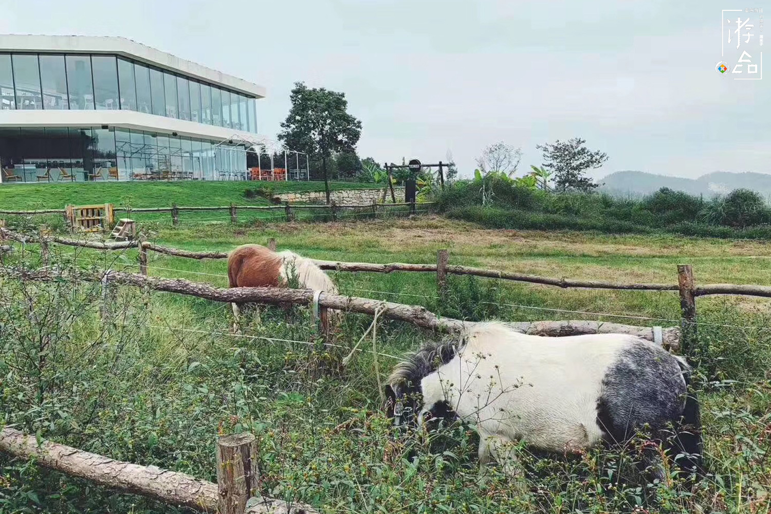 重庆农场体验：每人128元，换来一杯低质的咖啡和没有食物的餐厅