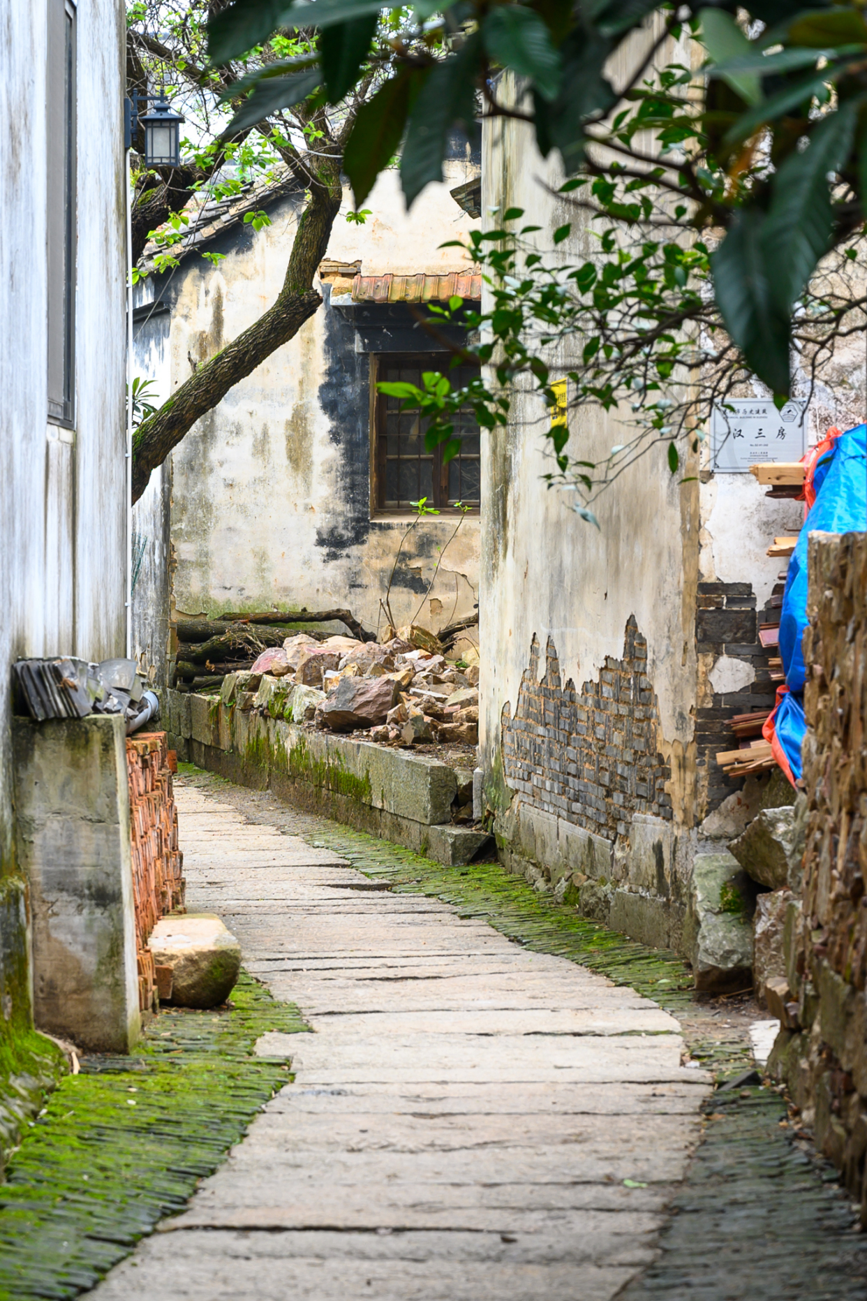 苏州少有人知的千年古村，藏在太湖西岛深处，景色美如世外桃源