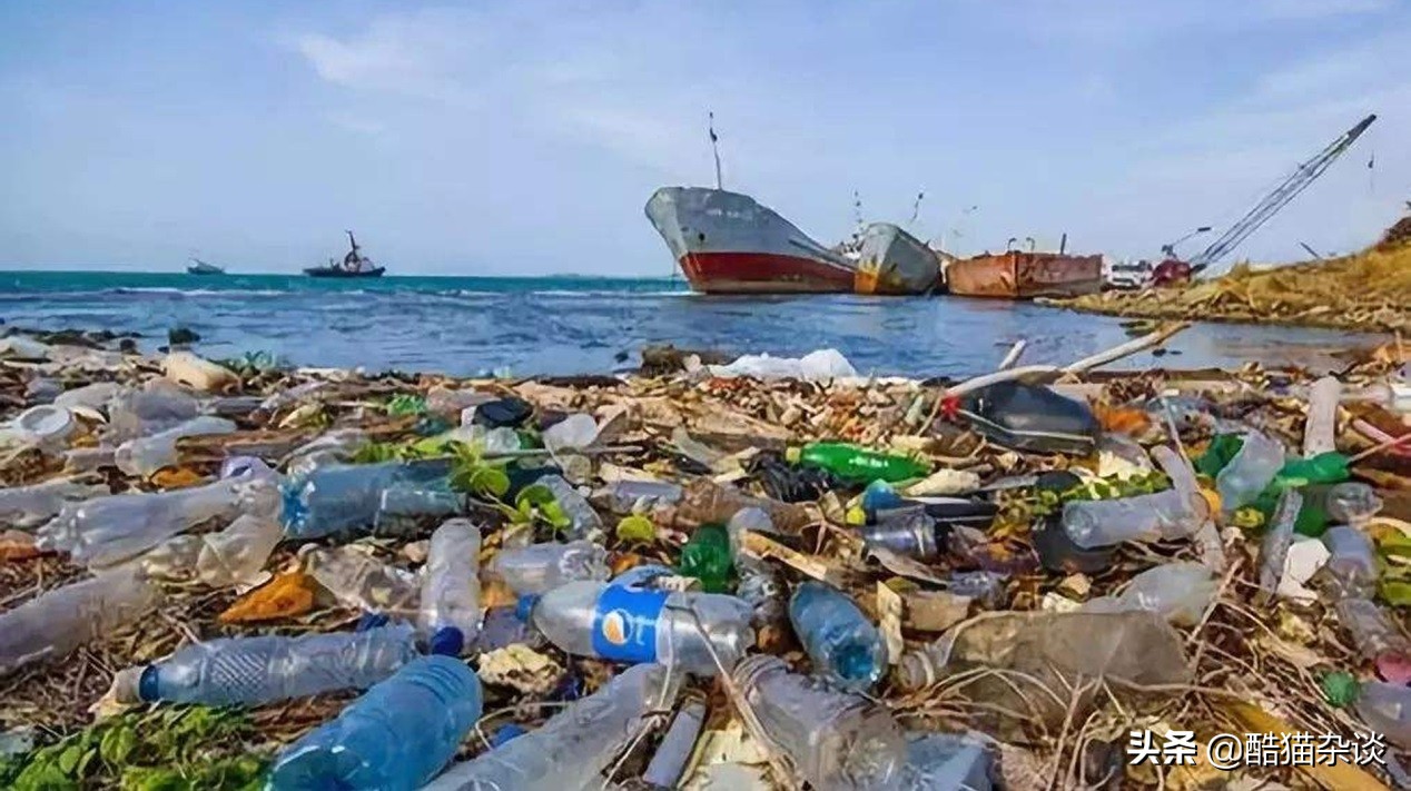 十大全球性危機，我們距離一場全球性危機越來越近了