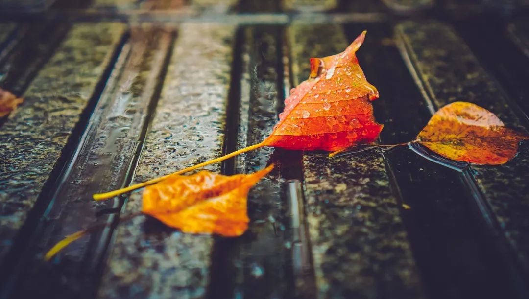 下雨时，最适合发朋友圈的30句诗词-第2张图片-非凡网