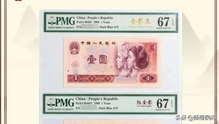 红金龙VS金龙王,一样的801不一样的“钱途”