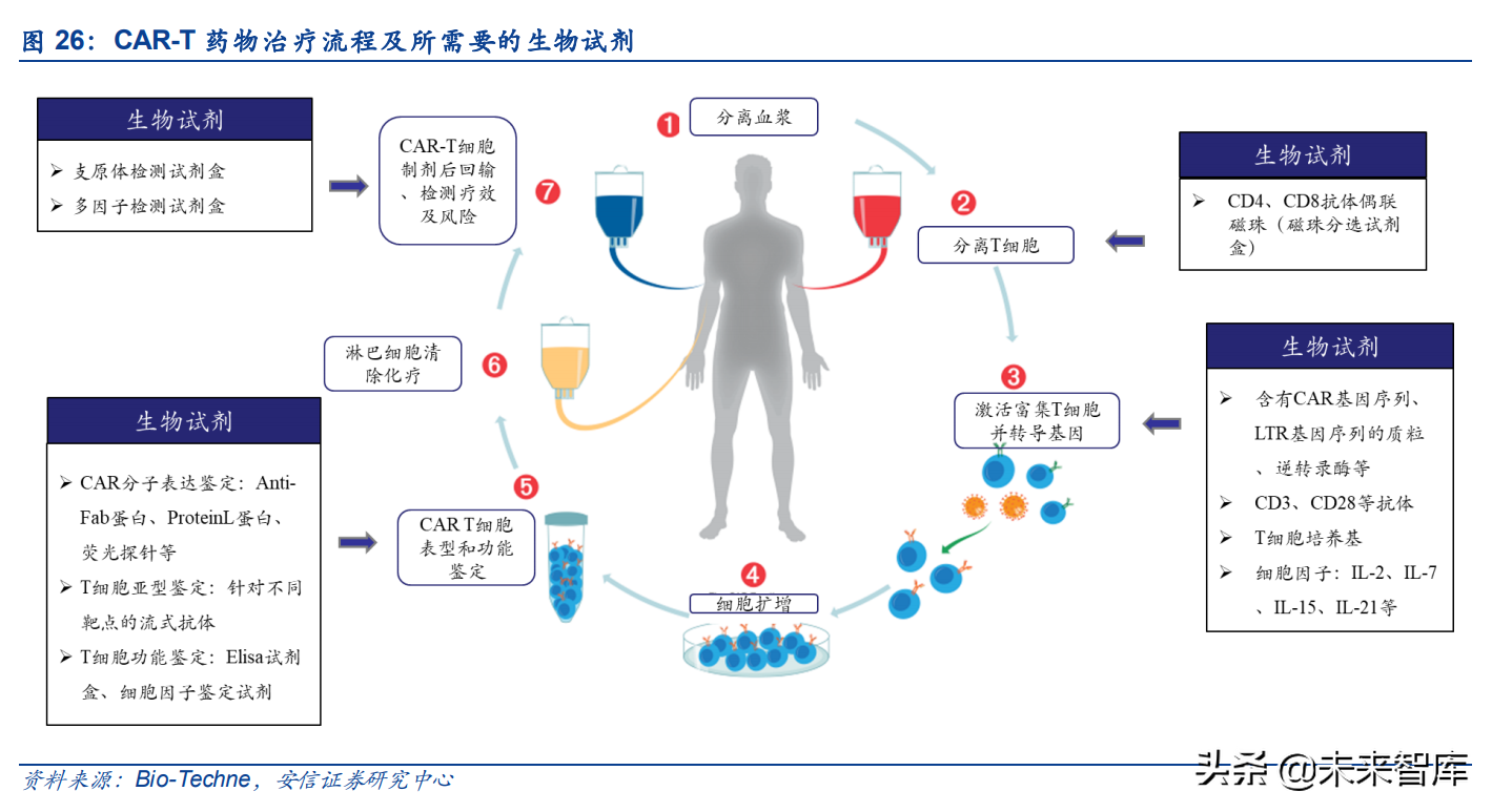 生命科学服务产业链专题研究：从生物试剂进口替代看科研创新