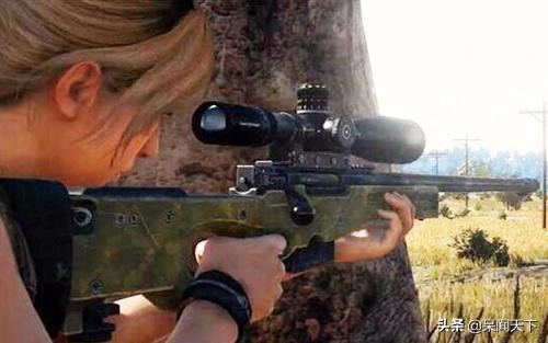 如果你是一名狙击手，这些狙击枪中，如果首选