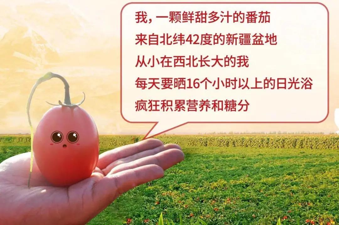 復(fù)購才是餐廳的命根！產(chǎn)品上新這么做