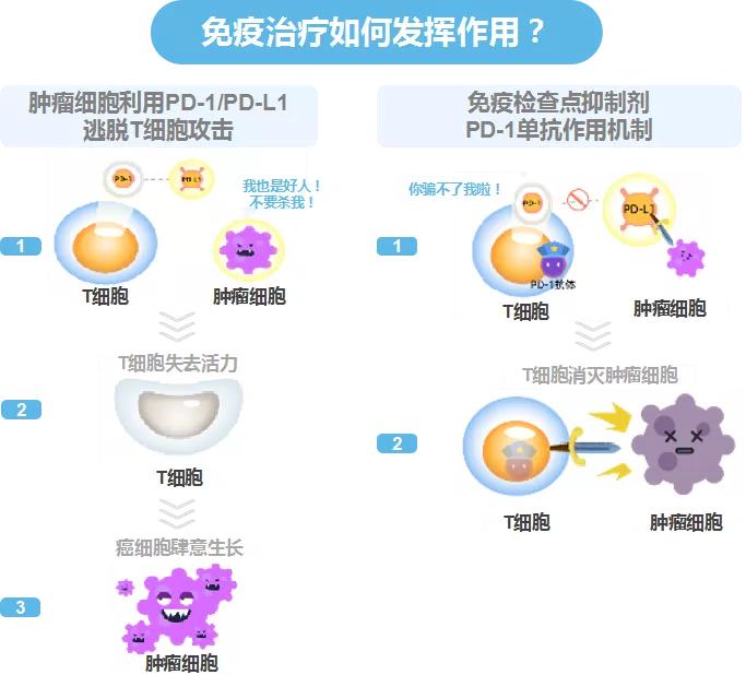 原发性肝癌患者指南系列解读（第二期）-治疗篇圆满落幕