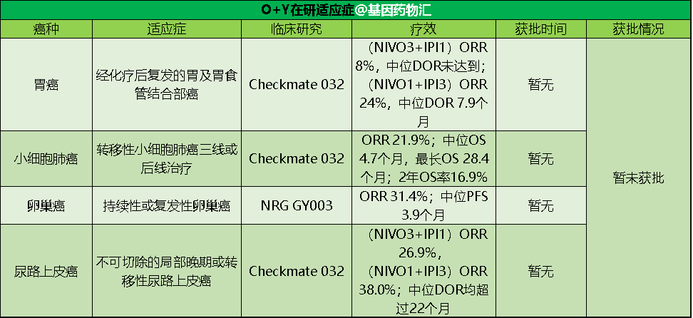 O+Y写入最新NCCN指南！从靶向到免疫，精准抗癌时代到来