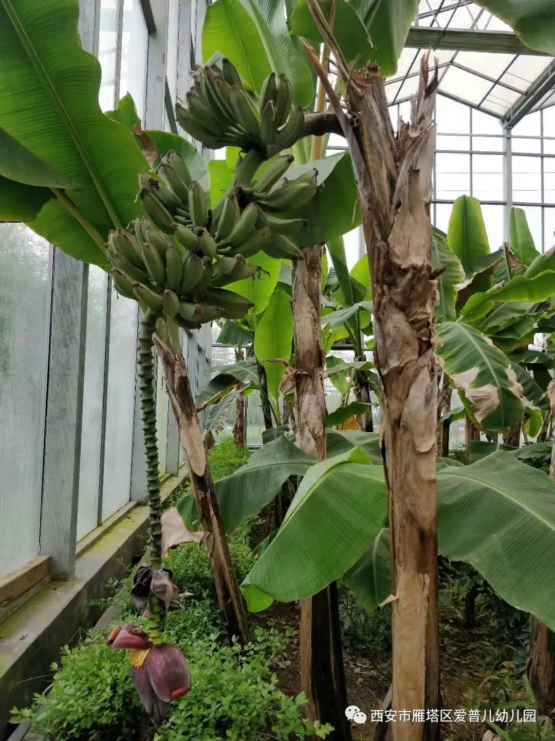 ����عˡ����ն��׶�԰�а�����ѧ��ʵ�߽���δ��