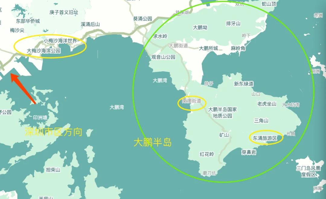 冬天看海的执念，就让温暖的深圳帮忙实现