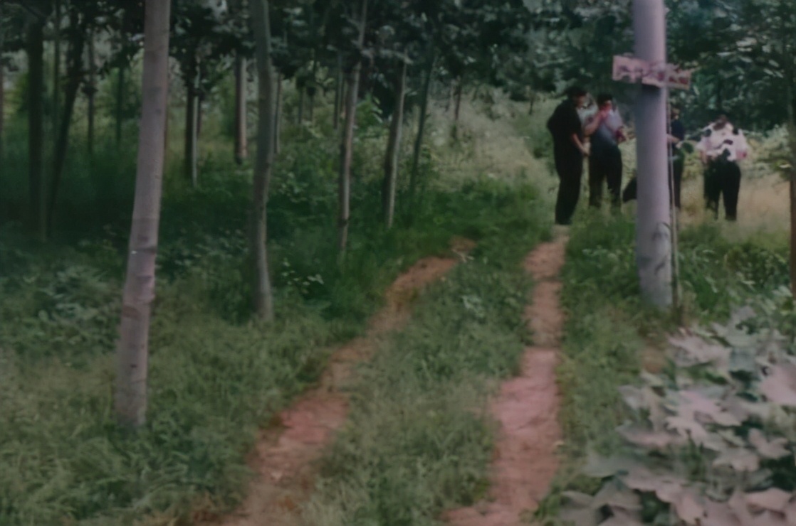 大案纪实-调戏女子不成，将其强奸后杀害！河北警方破获15年前大案