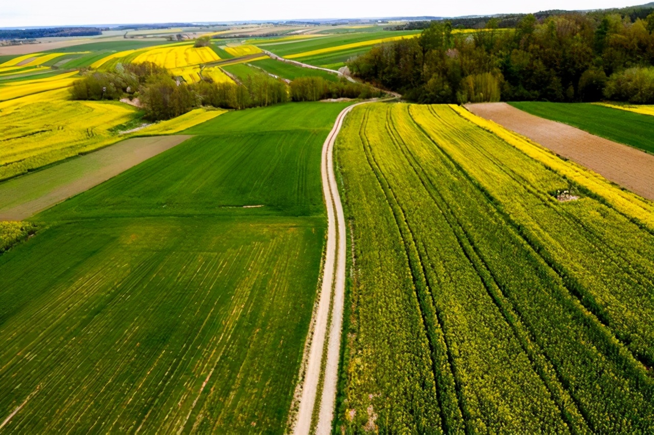 �й�ũҵ500ǿ��ҵ�ֲ����Ĵ������ո�61�ң����ɹ�10��