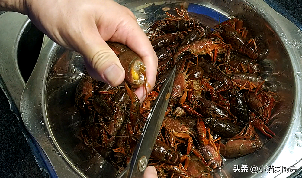 图片[6]-教你麻辣小龙虾的家常做法 制作简单 鲜香美味 一大盘不够吃-起舞食谱网