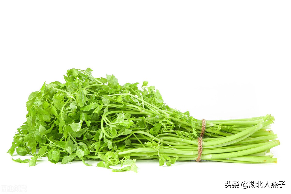 春天挖野菜，送你70种野菜图片大全，教你认识不同的野菜和吃法