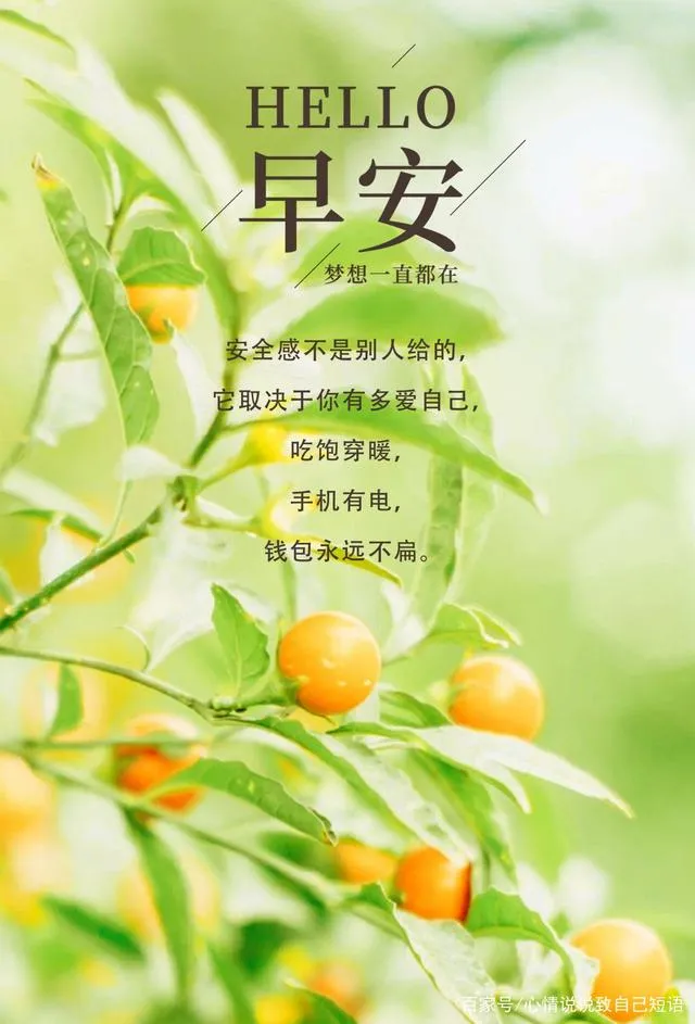 早安心语，正能量走心语录句子很好看的早上好图片图片
